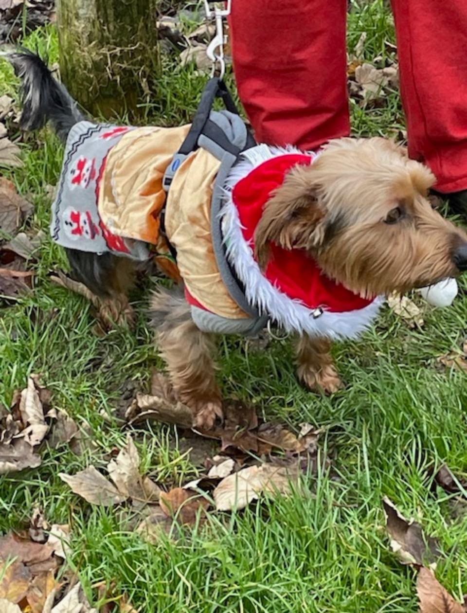 Santa Fun Run 2025