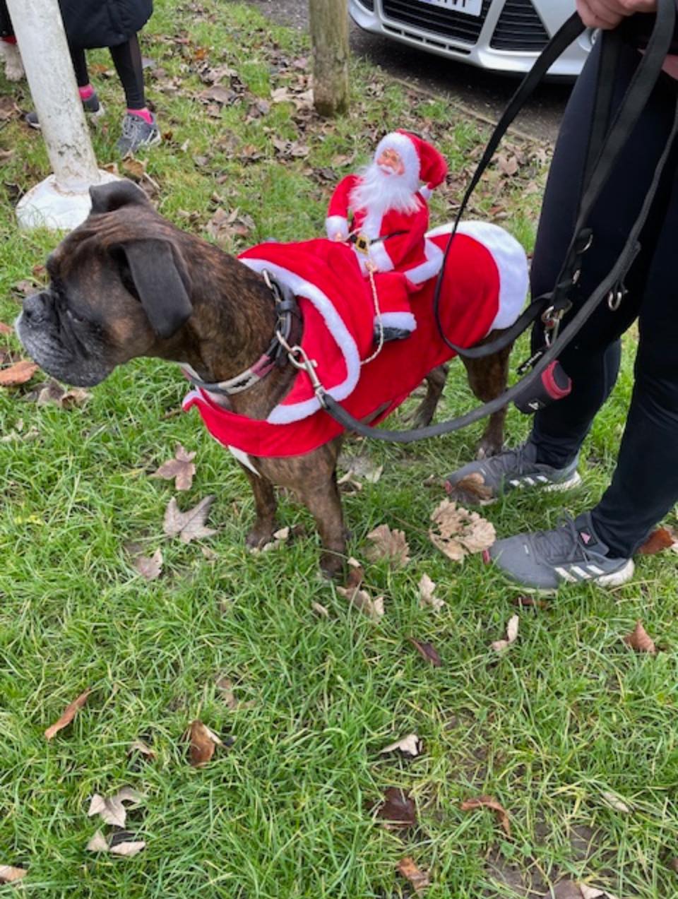 Santa Fun Run 2025